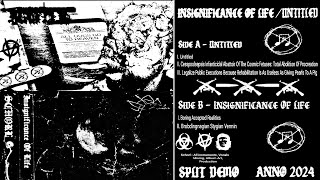 Schorl  UntitledInsignificance Of Life  Split Project Demo [upl. by Minni556]