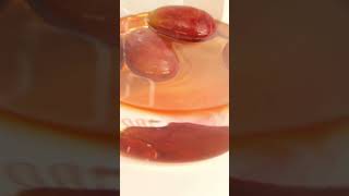 Grapes Vs Sulphuric Acid  Acid Lab 🥽 food sulphuric chemistry [upl. by Heisel140]