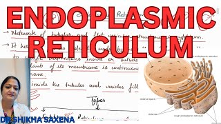 Endoplasmic Reticulum structure functions types [upl. by Nayhr]