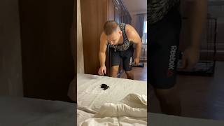 Its time to change the bed linen 💩 dogtrend питбульджина shorts funnydogs cutedogs dogactor [upl. by Theo]