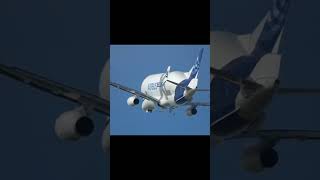 Me bomboclat edit meme airbus ksi [upl. by Etnoj]