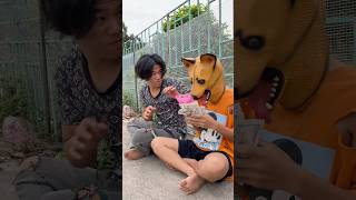 kind and brave puppy trending viralvideo dog shortsvideo [upl. by Asecnarf448]