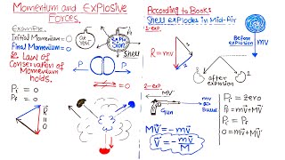 Momentum and Explosive Forces🔥 Class 11 PHYSICS👌 [upl. by Gnilsia]