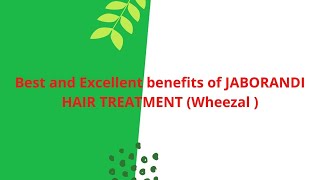 Best and Excellent benefits of JABORANDI HAIR TREATMENT Wheezal [upl. by Grounds333]