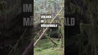 Verloren im Märchenwald [upl. by Hecker351]