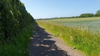 Near Roundstone Farm [upl. by Chaker]