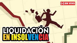 LIQUIDACIÓN PATRIMONIAL EN INSOLVENCIA ECONÓMICA [upl. by Savadove740]