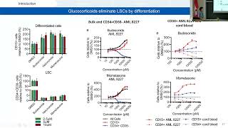 Mathematical modelling of premalignant and disease phases of acute myeloid leukemia [upl. by Anirad489]