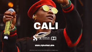 Wizkid Ft Burna Boy x Afro Typebeat  Afrobeat instrumental 2024 quotCALIquot [upl. by Nidia]