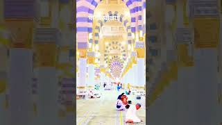 viralvideo islamicvideo [upl. by Airres]