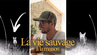 LA VIE SAUVAGE A LA MAISON [upl. by Tema]