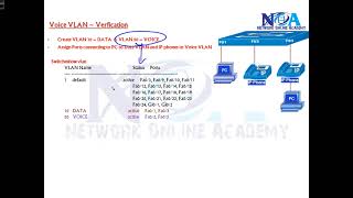 008 Voice VLAN [upl. by Eromle202]