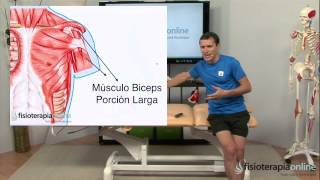 Tratamiento de tendinitis o tendinosis del hombro  Fisioterapia Bilbao [upl. by Assiren563]