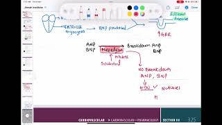 Sacubitril mechanism of Action cardiology 126  First Aid USMLE Step 1 in UrduHindi [upl. by Daryl555]