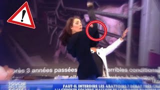 🔴 SOLVEIG HALLOIN DÉRAPE DANS TPMP [upl. by Ziana]