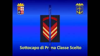 Gradi della Marina Militare Italiana [upl. by Allayne299]