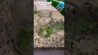 Quick and easy mojito recipe  Virgin mojito foodeasyrecipeindianshortsshortvideomojito [upl. by Cynthia658]