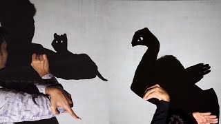 Hand shadow Performance  Amazing video [upl. by Brunn]