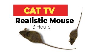 CAT GAMES  Realistic Mouse HD  3 HOURS Video for Cats amp Dogs to watch [upl. by Harald]