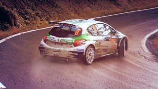 Rallye International du Valais 2015  YOUNG RISING STAR [upl. by Niuqauj]