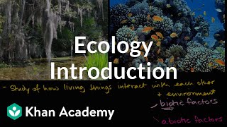 Ecology introduction  Ecology  Khan Academy [upl. by Wier126]