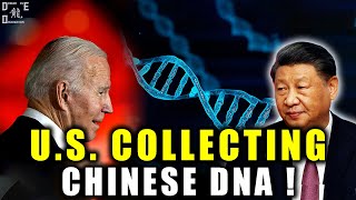 Dec4 Shocking US Admit We‘ve been Collecting DNA of Chinese People Dragon Eye Observation [upl. by Tammany105]