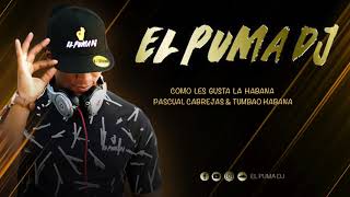 Como Les Gusta La Habana  Pascual Cabrejas amp Tumbao Habana  El Puma Dj [upl. by Trutko]