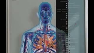 Cardiovascular System from wwweducaredesign [upl. by Ssenav]