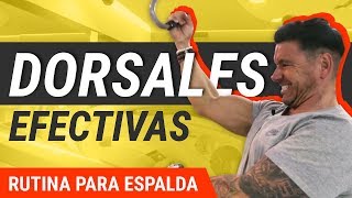 5 Mejores Ejercicios De Dorsales  Rutina De Entrenamiento [upl. by Elpmet]