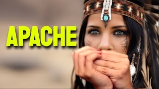 APACHE HARMONICA  C DIATONIC  ARMÓNICA C TABS BLUES HARP C GAITA DE BOCA C MUNDHARMONIKA C [upl. by Kung919]