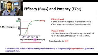 Efficacy  Potency  Junaid Asghar PhD [upl. by Nohsal]