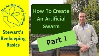 Queen Rearing Basics  How to create an Artificial Swarm Part 1 [upl. by Ellenaj]