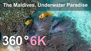 The Maldives Underwater Paradise Relaxing 360 video in 6K [upl. by Innavoeg]