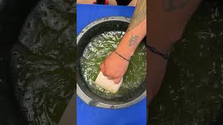 COMO HACER ABONO DE ALOE VERA  abonos caseros shorts [upl. by Neda]