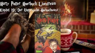 Harry Potter und der Feuerkelch LIVESTREAM Deutsch 7 podcast Harry Potter Hörbuch zum Einschlafen [upl. by Irtak578]