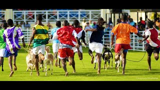 Buccoo Goat Race Festival [upl. by Remark]