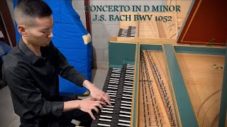 Bach Harpsichord Concerto No 1 in D Minor BWV 1052 Solo Performance by Broque Musician [upl. by Dasa]