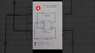 Bloodcirculation  Biology representation of blood circulation in human body [upl. by Deenya]