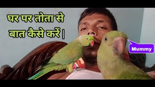 Parrot mummy  Parrot mummy sound  Parrot mummy voice  Parrot mummy papa takatakparrot [upl. by Smith]