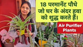 ❤️18 Air Purifying Indoor Plants  Air Purifying Plants For Bedroom  Air Purifying Plants For Home🪴 [upl. by Rose]