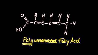 Saturated fats unsaturated fats and trans fats  Biology  Khan Academy [upl. by Robson]