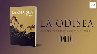 Audiolibro Odisea Canto XI [upl. by Imelida]