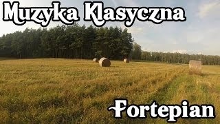 Muzyka Relaksacyjna  MUZYKA DO PRACY NAUKI KONCENTRACJI [upl. by Adnavoj]