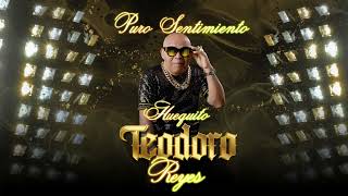 El huequito de TEODORO REYES 202 [upl. by Anyek]