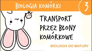 Cytologia 3  Transport przez błony komórkowe  biologia liceum poziom rozszerzony matura [upl. by Hegarty552]