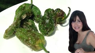 PADRON OR SHISHITO PEPPERS Fried  Tasty Bit 53 [upl. by Gagnon774]