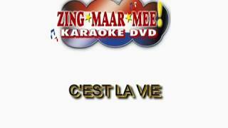 Rene Riva  Cest la vie  KARAOKE  Lyrics [upl. by Winther489]