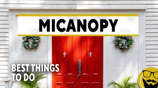 Top Things to See amp Do in Micanopy Florida [upl. by Assiran192]