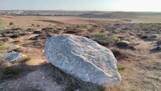 Meditation with the Ancestors Descendants and Web of Life [upl. by Name]