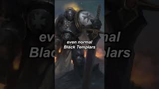 THE BLACK TEMPLARS VAUNTED PALADINS Sword Brethren  Warhammer 40k Space Marine lore [upl. by Fabri]